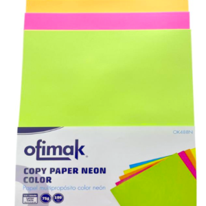 PAPEL BOND DE COLORES SURTIDOS TAMAÑO CARTA 75 GRM PAQ DE 100 HOJAS